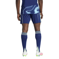 Men's Ajax 2025/26 Away Shorts