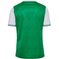 Men's ASSE 2025/26 Home Shirt Men's ASSE 2025/26 Home Shirt