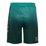 Kid's Werder Bremen 2025/26 Third Shorts Kid's Werder Bremen 2025/26 Third Shorts