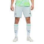 Men's Switzerland 2026 Away World Cup Shorts