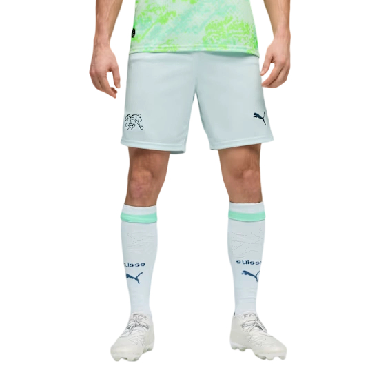 Men's Switzerland 2026 Away World Cup Shorts