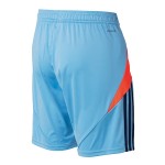 Men's Hamburger SV 2024/25 Special Shorts