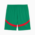 Men's Morocco 2025 Third Shorts - Green Men's Morocco 2025 Third Shorts - Green