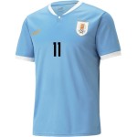 Darwin Nunez #11 Uruguay Home Jersey World Cup 2022 Darwin Nunez #11 Uruguay Home Jersey World Cup 2022