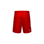 Men's SSV Jahn Regensburg 2025/26 Home Shorts Men's SSV Jahn Regensburg 2025/26 Home Shorts