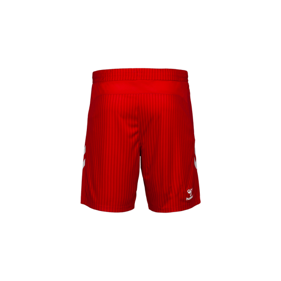 Men's SSV Jahn Regensburg 2025/26 Home Shorts Men's SSV Jahn Regensburg 2025/26 Home Shorts