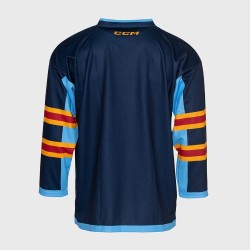 Women's Djurgårdens IF 2025 Home Long Sleeve CCM Shirt