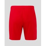 Men's FC Twente 2024/25 Home Shorts