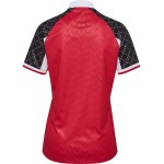 Men's Denmark 2024/25 Women's Team Special Shirt