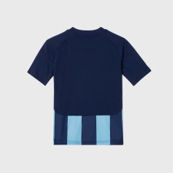Men's Djurgårdens IF 2024 Home Shirt