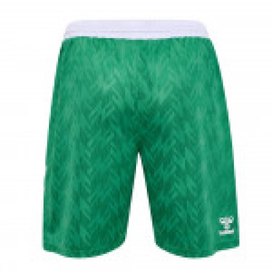 Men's Werder Bremen 1846 2024/25 Home Shorts - Green