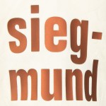 Women's FC Augsburg 2025/26 Special Shirt - Cream