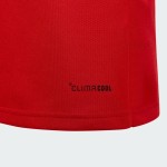 Kid's Wales 2025/26 150th Anniversary Long Sleeve Shirt