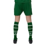 Kid's Ireland 2026 Home Shorts