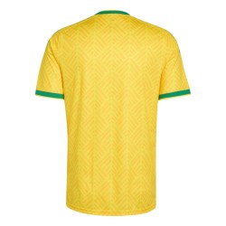 Men's South Africa 2026 Home World Cup Shirt