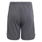 Kid's Juventus 2023/24 Third Shorts Kid's Juventus 2023/24 Third Shorts
