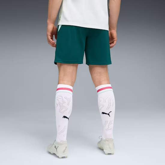 Women's Austria 2026 Away World Cup Shorts
