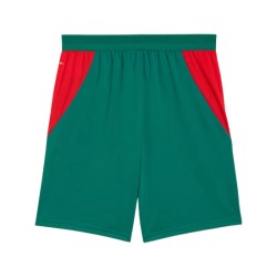 Men's Senegal 2026 Away World Cup Shorts Men's Senegal 2026 Away World Cup Shorts