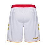 Men's 1. FC Köln 2025/26 Fastelovend Shorts