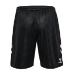 Men's Werder Bremen 1846 2024/25 Third Shorts
