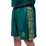 Men's VIS Aurelia 2025/26 Home Shorts Men's VIS Aurelia 2025/26 Home Shorts