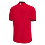 Georgia Third Jersey EURO 2024 Georgia Third Jersey EURO 2024