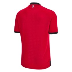 Georgia Third Jersey EURO 2024