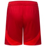 Kid's Fortuna Düsseldorf 2024/25 Home Shorts Kid's Fortuna Düsseldorf 2024/25 Home Shorts