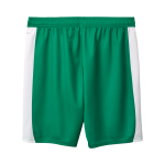 Men's SpVgg Greuther 2025/26 Away Shorts