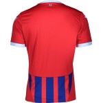 Men's 1.FC Heidenheim 1846 2024/25 Home Shirt