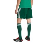 Men's Algeria 2026 Away World Cup Shorts Men's Algeria 2026 Away World Cup Shorts