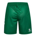 Men's Werder Bremen 2025/26 Home Shorts - Green