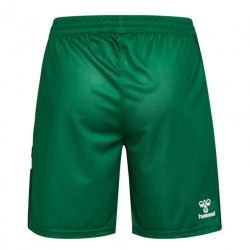 Kid's Werder Bremen 2025/26 Home Shorts - Green