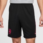 Men's Chelsea 2024/25 Third Shorts Men's Chelsea 2024/25 Third Shorts