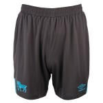 Women's Ipswich Town 2025/26 Third Shorts