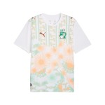 Men's Côte d'Ivoire 2026 Away World Cup Shirt