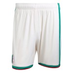 Men's Algeria 2026 Home World Cup Shorts