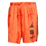 Men's Arsenal x NTS 2025/26 Urban Purist Shorts Men's Arsenal x NTS 2025/26 Urban Purist Shorts