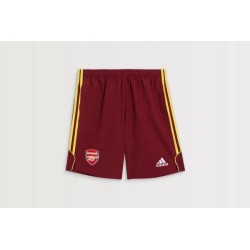 Women's Arsenal 2024/25 Urban Purist Shorts