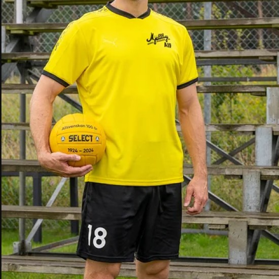 Women's Mjällby AIF 2024 Third Centenary Shorts Women's Mjällby AIF 2024 Third Centenary Shorts