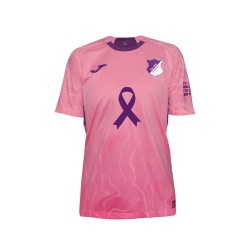 Men's TSG Hoffenheim 2025/26 Special Breast Cancer Shirt