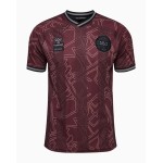 Women's Denmark 2024 Special Shirt