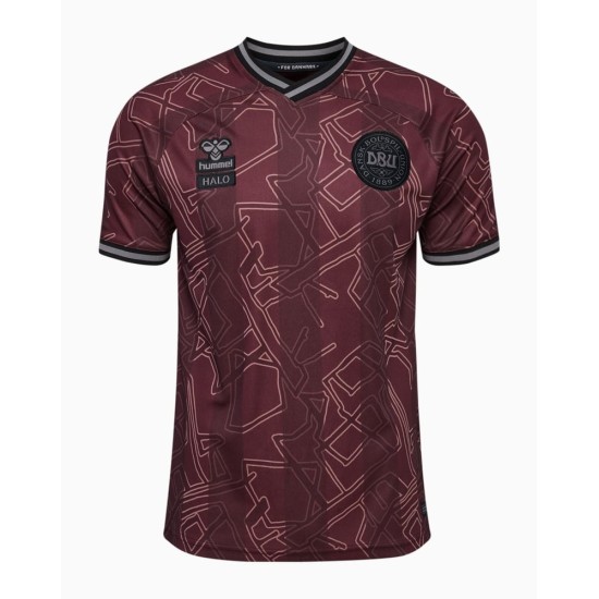 Women's Denmark 2024 Special Shirt