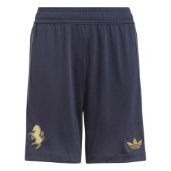 Kid's Juventus 2024/25 Third Shorts