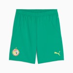Men's Senegal 2025 Away Shorts