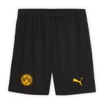 Men's BVB Borussia Dortmund 2025/26 Cup Shorts Men's BVB Borussia Dortmund 2025/26 Cup Shorts