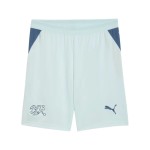 Men's Switzerland 2026 Away World Cup Shorts