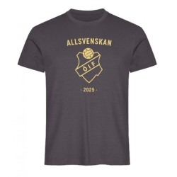 Women's Östers IF 2025 Third Allsvenskan Shirt