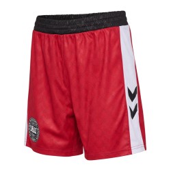 Men's Denmark 2024/25 Women's Team Special Shorts
