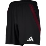 Men's 1. FC Nürnberg 2024/25 Home Shorts Men's 1. FC Nürnberg 2024/25 Home Shorts